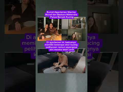 Rumah Sherina Munaf dan Baskara Mahendra Punya Banyak Kucing #rumah #viralvideo #shorts