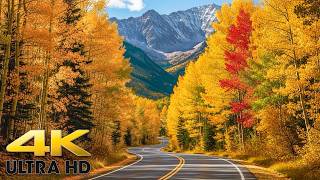 Peak Fall Colors in Colorado: Independence Pass Scenic Drive - Aspen to Twin Lakes 4K