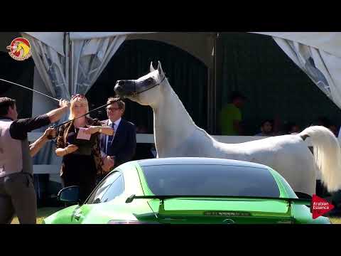 Elran Cup 2018 - Class 10