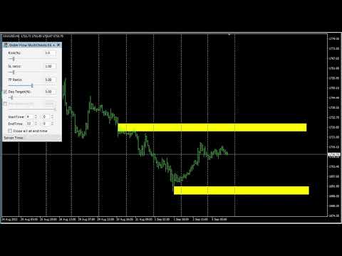 Video Order Flow MultiCharts EA
