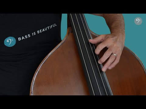 Thumb Position Fundamentals on Double Bass