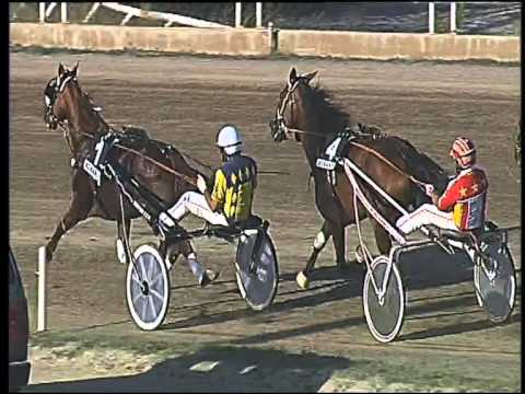 Trotto 20/09/2015 - 5° corsa