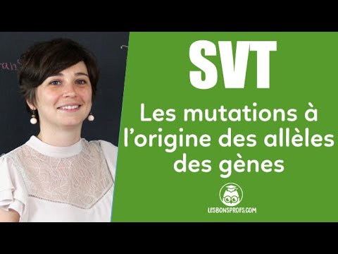 Les mutations à l'origine des allèles des gènes - Les Bons Profs
