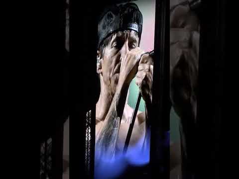Red Hot Chili Peppers, Californication at Sofi Stadium on 7/31/2022