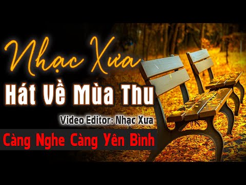Nhạc Xưa Tình Ca Hát Về Mùa Thu Càng Nghe Càng Yên Bình Da Diết | Dòng Nhạc Tình Ca Hải Ngoại Bất Hú