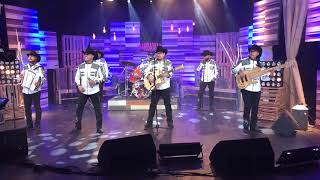 Palomo en la pasión no hay palabras