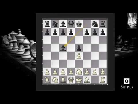 Alapinovo Otvaranje – Greške u Šahovskim Otvaranjima na Šah Plus Kanalu