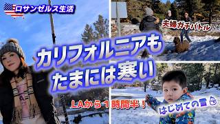 【ロサンゼルス生活】LAから車で1時間半 de 真剣雪遊び|人生初めての雪に固まる2歳児と犬と半袖娘|国際結婚ファミリー