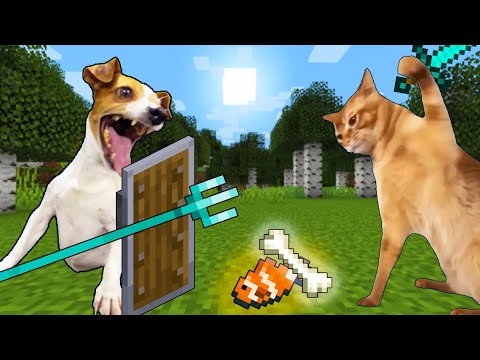 Meme Cats vs. Dogs in Minecraft: Hungry! - Part 3