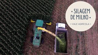 Miniatura do vídeo