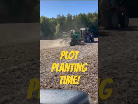Planting time for #SeriousWheat plots