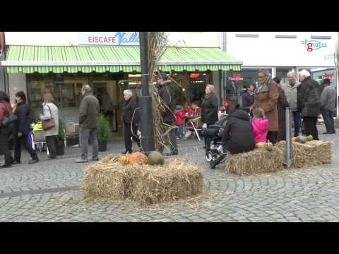 Kürbisfest Sinzig 2014