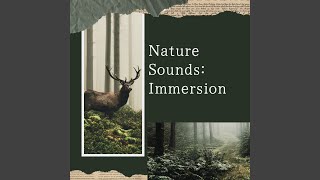 熟睡ギターBGM 睡眠の質を高めるヒーリング音楽...