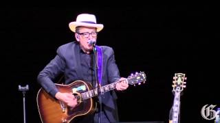 Elvis Costello performs at the Jazz Festival