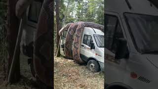 OMG ?! IS IT REAL ? ? #snake #animal