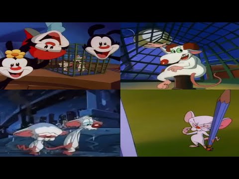 All Pinky and the Brain Intros (1993 - 2022)