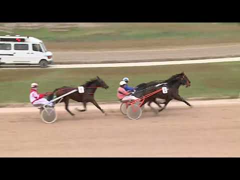 2022.11.19. 04. futam - MÁGNÁS DÍJ