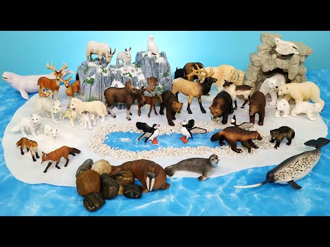 Arctic and Tundra Wild Animal Figurines and Diorama