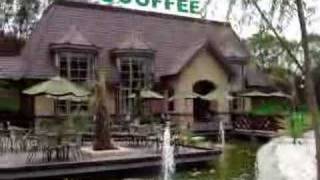 [問卦] 義守就是我的安慰