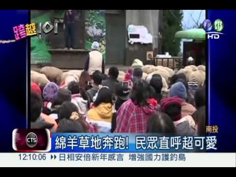 海拔最高升旗! 上清境順便看羊秀