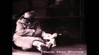 new day rising-tv dinners