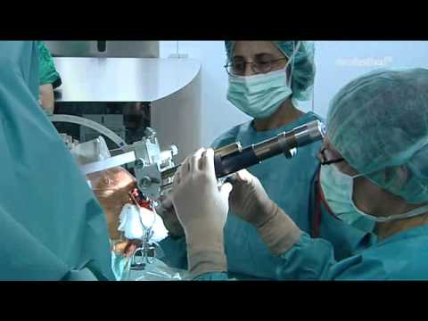 Die Perfektionierung des Menschen 4/5