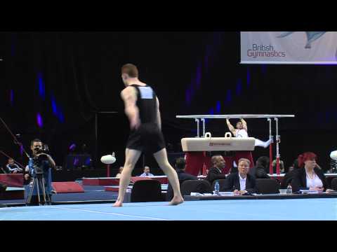 DANIEL PURVIS FX SENIOR BRITISH 2014 AA