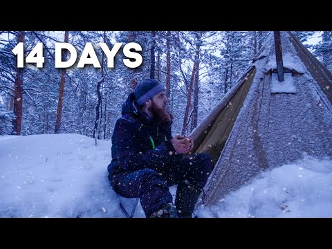 2 Weeks of Solo Camping in The Forest: From December to March | 3 Hour Relaxing