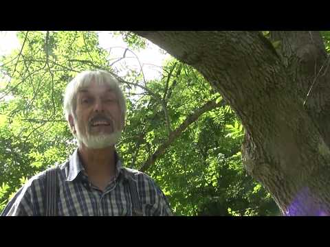 Der Rinnenbüggele-Ranger am Natur-Kultur-Wunder!?!