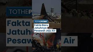 Fakta Baru Jatuhnya Pesawat Jeju Air di Korea Selatan: Ada DNA Burung Baikal di Mesin Pesawat!