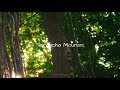 Moongil Thottam Kadal A R Rahman Whatsapp Status Tamil Kaviya Editz