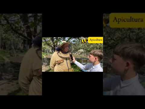 Albina -regina naturii