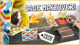 New Cage Accessories! & Top Tips on Decorating a Guinea Pig Cage 🌻