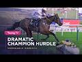 GOLDEN ACE Lands Dramatic Champion Hurdle As CONSTITUTION HILL STATE MAN Fall