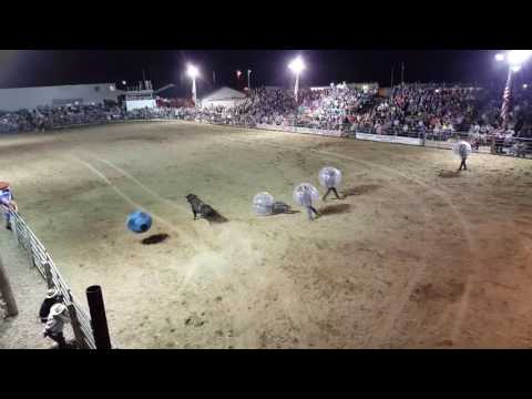 Pine City Rodeo Bull Soccer 2016