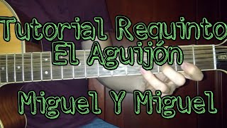 El Aguijón | Requinto Tutorial | Miguel y Miguel | Primera Caricia