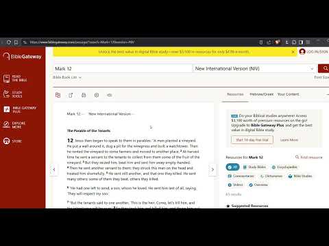 Item video thumbnail