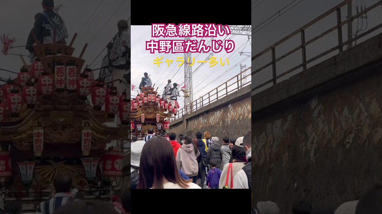 【 神戸だんじり祭り 中野區 地車 】 #だんじり #祭り #地車