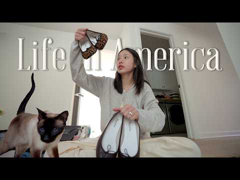 파리에서 무엇을 사 왔나..! 파리 쇼핑 하울♥︎ (가방, 옷, 신발, 주방용품 잔뜩), 울 고양이들을 위한 야외 공간 캣티오 만들 준비 하기🪜🔨