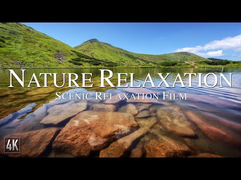 3 Hours of Amazing Nature Scenery & Relaxing Ambient Music for Stress Relief