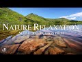 3 Hours of Amazing Nature Scenery & Relaxing Ambient Music for Stress Relief