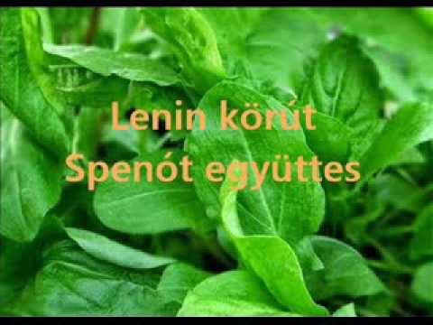 Lenin körút  - Spenót együttes