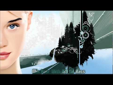 Nikki Haddi - with Niklas Harding & Morten Beutelmann [Mix Hour]