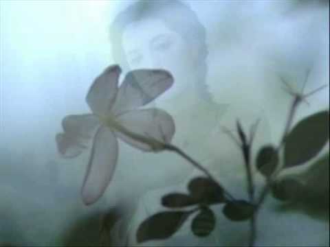 Merima Njegomir - Magla padnala v dolina