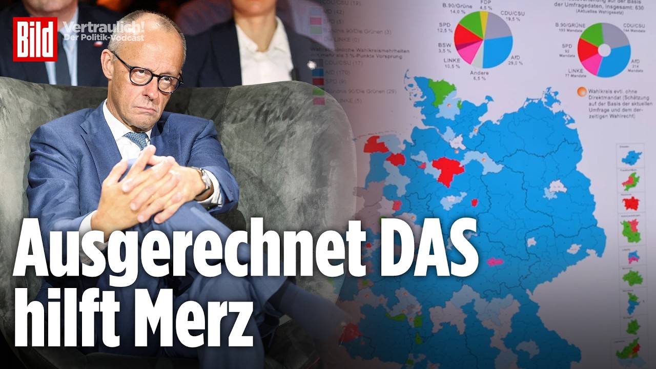 Das Paradox der Politik: Warum AfD-Erfolge Merz helfen könnten | Vertraulich