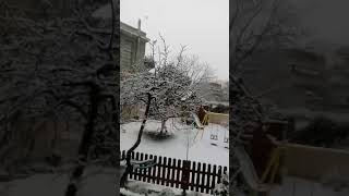 Παχνίδια με το χιόνι 2