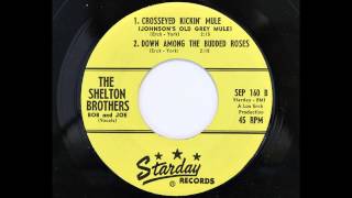 The Shelton Brothers (Bob & Joe) - Crosseyed Kickin' Mule (Johnson's Old Grey Mule)