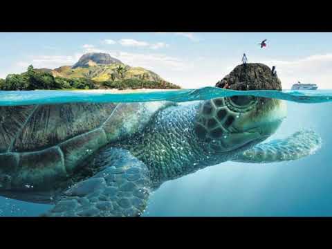 sunrise malvin saar 🎧🎶