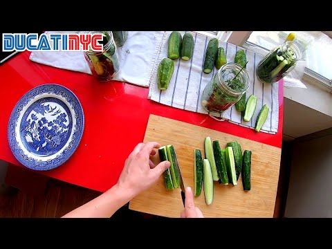 , title : 'Making Garlic Dill Pickles with Home Grown Cucumbers - Ducati NYC Vlog v1521'