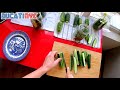 Making Garlic Dill Pickles With Home Grown Cucumbers Ducati NYC Vlog V1521